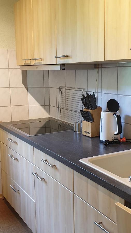 Ferienwohnung An Der Begerburg Dresden Exteriör bild